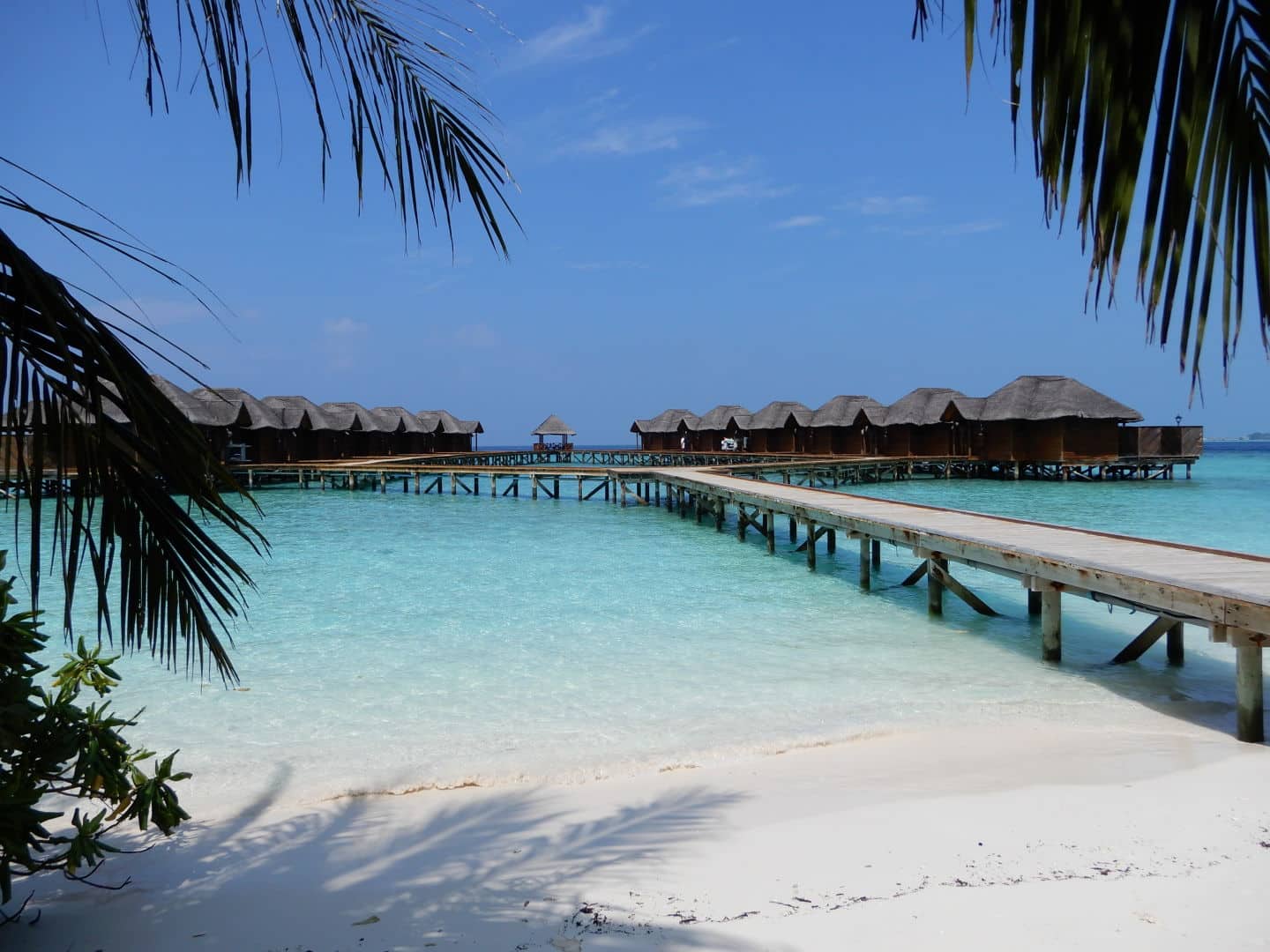 fihalhohi_island_resort